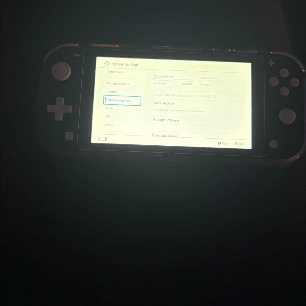 Nintendo Handheld Console with Red Case